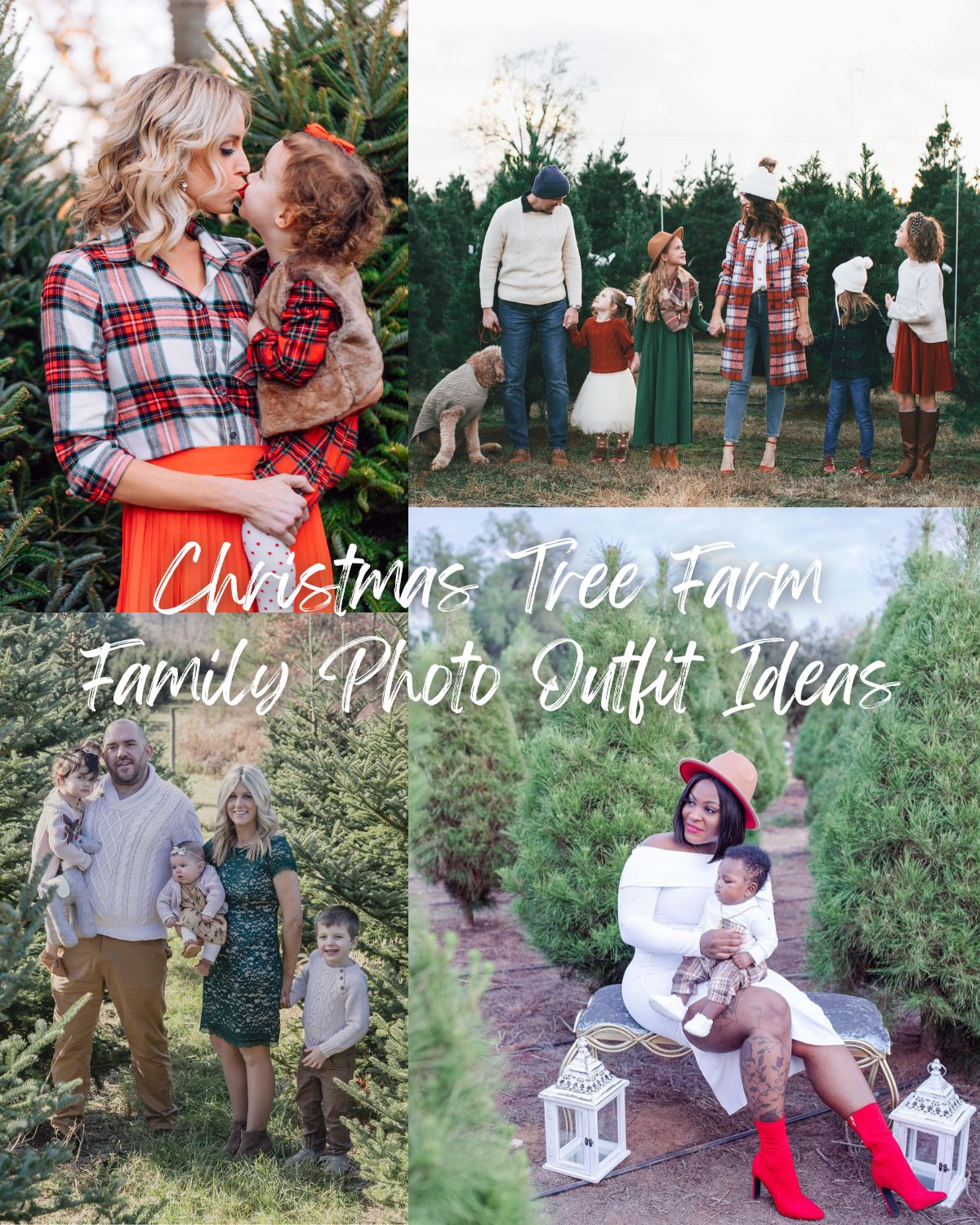 Four family photos in a Christmas tree farm