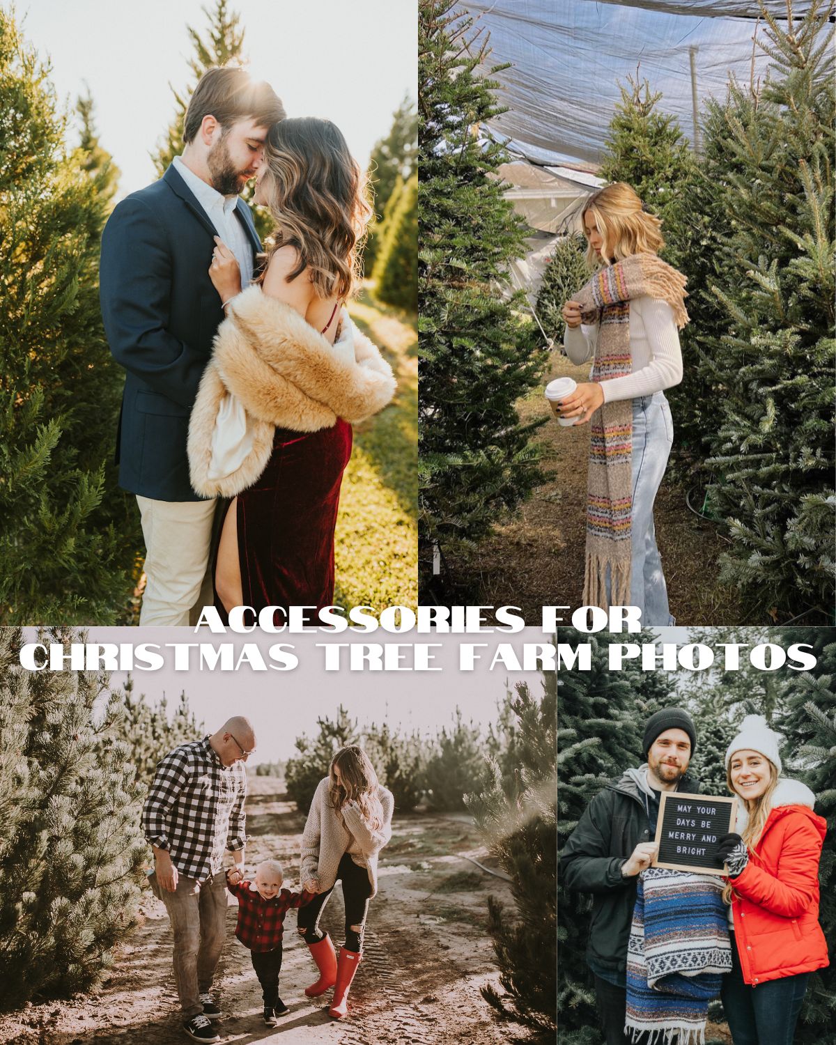 Four photos of people in a Christmas tree farm