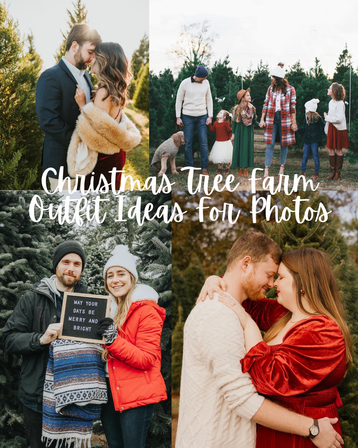 Four gorgeous Christmas tree farm photo ideas